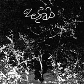 Daso-biboon