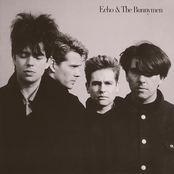 Echo and The Bunnymen: Echo & The Bunnymen