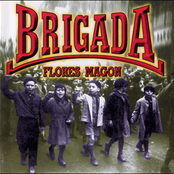 brigada flores magon