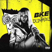 Bke 4 Dummies