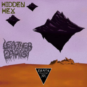 Hidden Hex