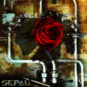 SEPAL