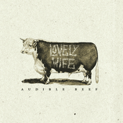 Audible Beef