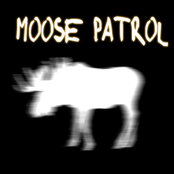 moose patrol