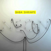 Back To Where The Light Is by Baba Shrimps