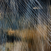 Leaving the keyboard that plays itself down by the river between 2:30 and 3:30 AM August 3rd 2017