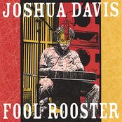 Joshua Davis: Fool Rooster