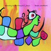 Wondering Where The Lions Are