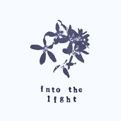 Wonderful (2018-2020)