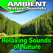 Relaxing Sounds of Nature (Nature Sounds)