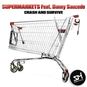 Crash and Survive (Radio Edit) [feat. Danny Saucedo] - Single