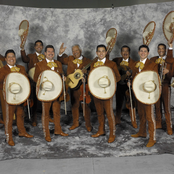 mariachi los camperos de nati cano