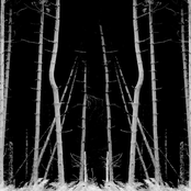 The Heavens in Traction