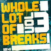 A Whole Lot Of Breaks (Vol. III)