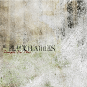 The Black Feathers: Strangers We Meet