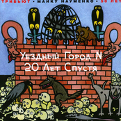 Уездный город N 20 лет спустя