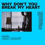 Why Don't You Break My Heart?