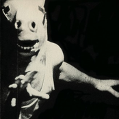 Hoping for the Impossible to Ignite