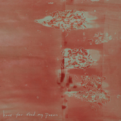 Have You Read My Poems