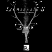 Ry Cuming: Schneeweiss II Presented by Oliver Koletzki