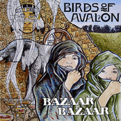 Bicentennial Baby by Birds Of Avalon