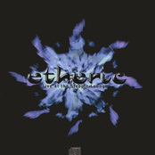 Etheric - Live at the Steeple Lounge