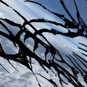 Cant Stop Wasting Time