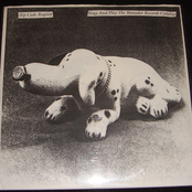 Sing and Play the Matador Records Catalog