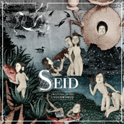 Flight Towards The Sun by Seid