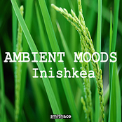 Ambient Moods