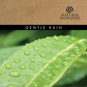 Gentle Rain by David Arkenstone