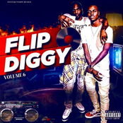 FlipDiggy Volume 6