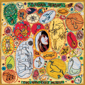 Clam, Crab, Cockle, Cowrie by Joanna Newsom