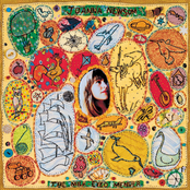 Sprout and the Bean by Joanna Newsom