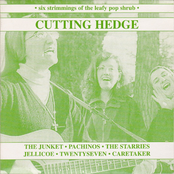 Cutting Hedge
