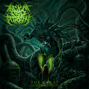 The Great Ascendancy Fraud