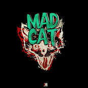 pasha_madcat