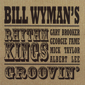 Hole In The Wall by Bill Wyman's Rhythm Kings