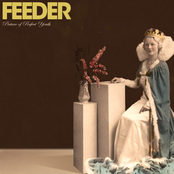 Spill by Feeder