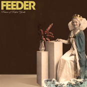 Opaque by Feeder