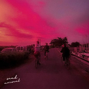 The Dream Tape (Vol.1)