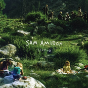 Sam Amidon: Lily-O