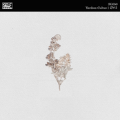 ∅∀‡ | Cultus
