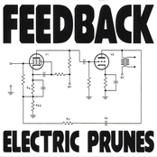 Circus Freak by The Electric Prunes