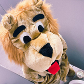 I Probably Peaked in High School