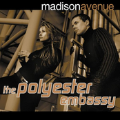 Polyester Embassy