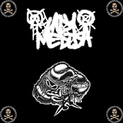 SPLIT WITH LADYXMEDUSA