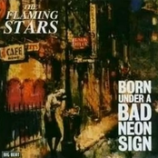 Born Under A Bad Neon Sign by The Flaming Stars