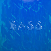 Bass
