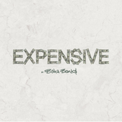 EXPENSIVE